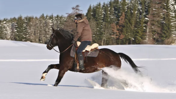 Reiten im Schnee - &copy; Foto: Karl-Josef Hildenbrand