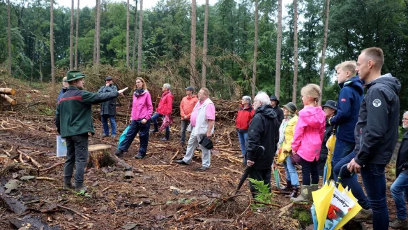 Die &bdquo;Schnatg&auml;nger" auf der k&uuml;nftigen B&uuml;rgerwaldfl&auml;che. Noch ist hier alles w&uuml;st, aber schon in wenigen Jahren wird der neue Wald f&uuml;r frisches Gr&uuml;n sorgen. - &copy; Marketing Extertal