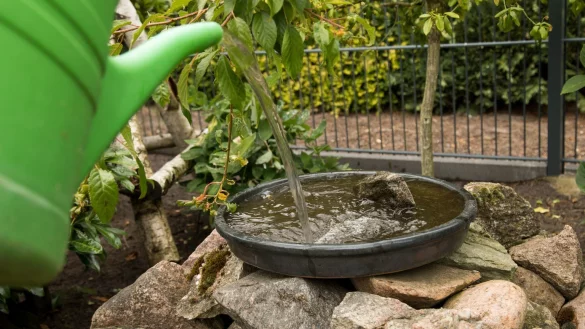 Eine Tr&auml;nke f&uuml;r Insekten - &copy; Foto: Christin Klose