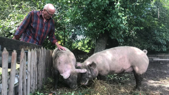 Udo Baumann mit den Schweinen Fabian und Ella. - &copy; Sven Kienscherf