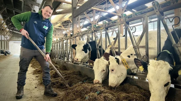 Derzeit arbeitet Jungbauer Bjarne Horstmann auf einem Betrieb mit rund 220 K&uuml;hen in Steinhagen. - &copy; Mareike K&ouml;stermeyer