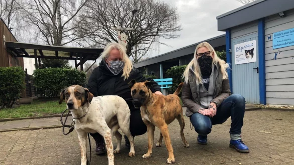 Die Tierpflegerinnen Melanie Vogt (links) und Freddy van der Hoeven mit den Hunden &bdquo;Shaun&ldquo; (links) und &bdquo;Jumper&ldquo; auf dem Hof des Tierheims an der Ziegelstra&szlig;e. Die Anschaffung eines Tieres sollte nicht &uuml;bers Knie gebrochen werden, raten sie. - &copy; Sven Kienscherf