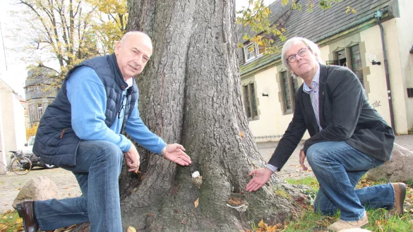 Kein gutes Zeichen: Pilze haben sich auf der Rinde der bereits stark geschwächten Kastanie angesiedelt. Pfarrer Rainer Stecker (rechts) und Bauausschussvorsitzendem Klaus Kubach bleibt keine andere Wahl als die Fällung in Auftrag zu geben. - © Wolfgang Becker