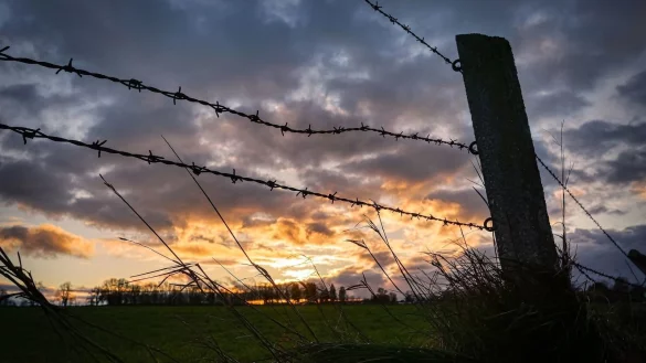 Ein Pferd wurde mit einem Messer attackiert - &copy; Symbolfoto: Pixabay