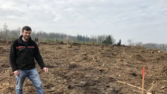 Revierf&ouml;rster Christopher Kroos vom Landesverband Lippe inspiziert die gerodete Fl&auml;che. Das Plateau des Rie&szlig;en zwischen Talle und Kirchheide wird nun mit unterschiedlichen B&auml;umen best&uuml;ckt, jede Lattenfarbe steht f&uuml;r eine andere Art. Wer sich durchsetzt, weil er hier besonders gut klarkommt, m&uuml;ssen Kroos Nachfolger beurteilen. Fotos: Till Brand - &copy; Till Brand