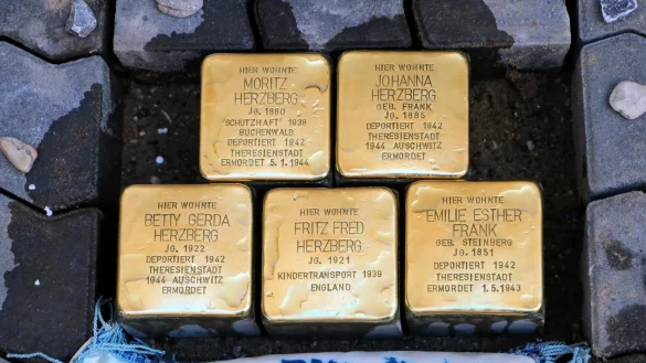 2020 sind in der Karlstraße fünf Stolpersteine in Gedenken an die Familie Herzberg vor ihrem ehemaligen Wohnhaus verlegt worden. - © Archivfoto: Yvonne Glandien