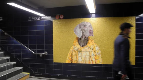 Weimaraner-Hunde im U-Bahnhof - &copy; Foto: Johannes Schmitt-Tegge