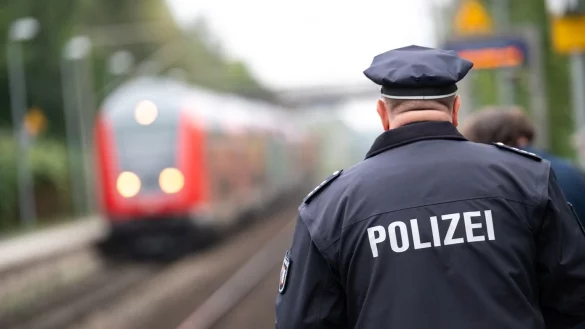 Hund f&auml;hrt alleine Zug - &copy; Foto: Jonas Walzberg/dpa/Symbolbild