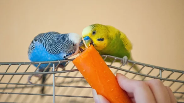 - © Andrea Warnecke/dpa-tmn