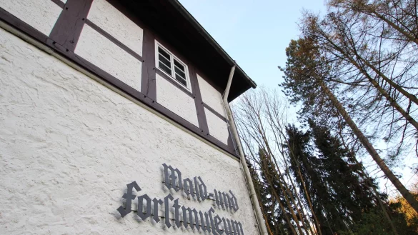 Das Wald- und Forstmuseum Heidelbeck sollte zum Walderlebniszentrum Kalletal umgebaut werden. Doch wegen der enormen Preissteigerungen auf dem Bausektor reichen die in Aussicht stehenden Mittel nicht. Das Projekt liegt deshalb auf Eis. - &copy; Archivfoto: Jens Rademacher