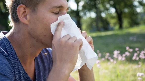 Heuschnupfen - &copy; Foto: Christin Klose