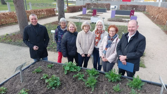 Rund 2000 Heilpflanzen wachsen im „Kneipp-Kräutergarten“ im Kurpark von Bad Salzuflen: Einen Überblick über die vielfältige Biodiversität verschafften sich (von links) Bürgermeister Dirk Tolkemitt mit Monika Carstensen-Rosin, Jen-nifer Howard und Renate Böttger (alle Kneipp-Verein Bad Salzuflen) sowie Reinhild Dauwe (Sachgebietsleitung Grün, Stadt Bad Salzuflen), Waltraud Roland (Kneipp-Verein Bad Salzuflen) und der Technische Beigeordnete Bernd Zimmermann. - © Stadt Bad Salzuflen
