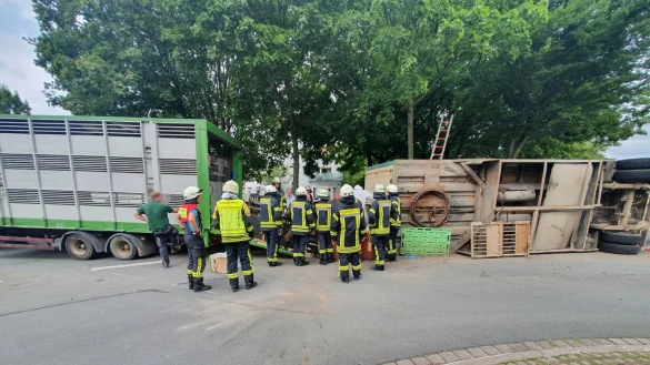 Der Viehanh&auml;nger des Gespanns st&uuml;rzte auf die Seite. - &copy; Feuerwehr Borchen