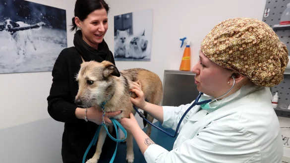 Die Bielefelder Tierklinik bietet als einzige Klinik im Umkreis von 90 Kilometern rund um die Uhr einen Notdienst an. - &copy; Archivfoto: Wolfgang Rudolf