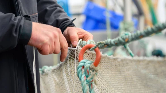 Fischerei - &copy; Foto: Mohssen Assanimoghaddam/dpa