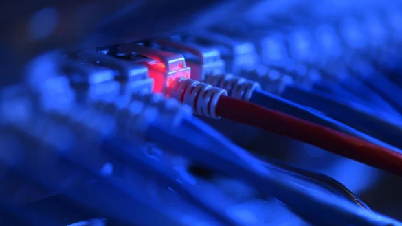 Netzwerkkabel - &copy; Foto: Felix K&auml;stle/dpa