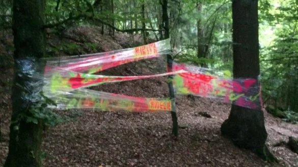 Eine gespannte und beschmierte Folie st&ouml;rt im anliegenden Wald. - &copy; Landesverband Lippe