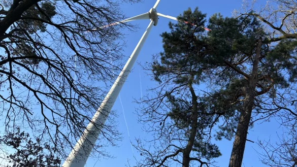 Auf einmal doch genehmigt: Der Bau von Windkraftanlagen im Wald auf der Gauseköte. - © Symbolfoto: Jens Reddeker