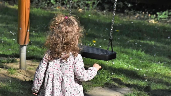 Weil der Trend von der klassischen Schaukel weggeht, wissen Kinder oft nicht mehr, wie man sie benutzt. - &copy; Pixabay
