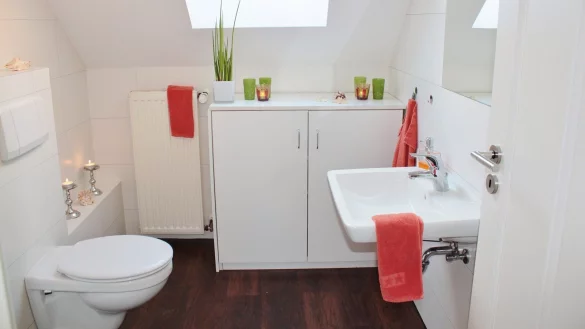 Die gro&szlig;e globale Nachfrage nach Sanit&auml;rkeramik verl&auml;ngert Lieferzeiten und treibt Preise in die H&ouml;he. - &copy; Symbolbild: Pixabay