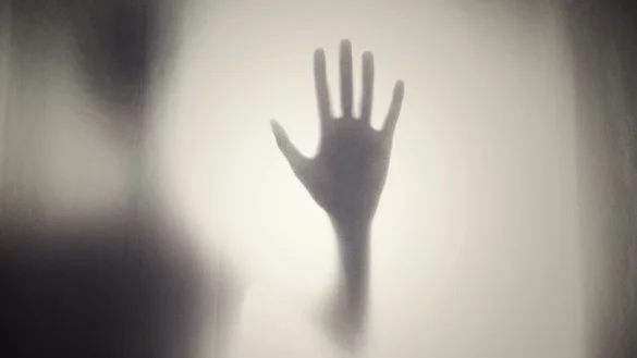 Er ließ sie nicht in Ruhe. Zumindest die Kinder wollte er bei sich haben. - © Pixabay