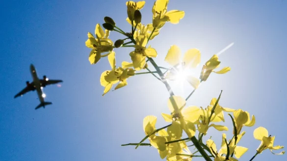 Klimaschutz - &copy; Foto: Julian Stratenschulte