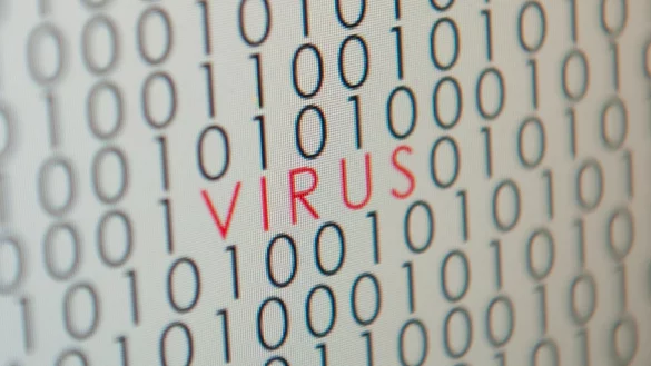 Computervirus - &copy; Foto: Sebastian Kahnert