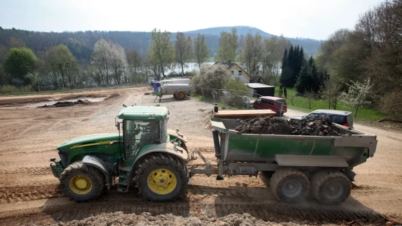 Die Sp&uuml;lfelder am Nordufer wurden 2010 angelegt.&nbsp; - &copy; Archivfoto: Bernhard Preu&szlig;