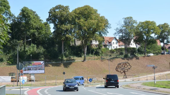 Bei der Inbetriebnahme der digitalen Anzeigetafel ist die namensgebende Nelke bereits pr&auml;sent. - &copy; Tanja Watermann