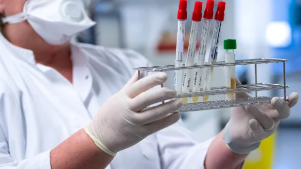 - &copy; Sven Hoppe/dpa