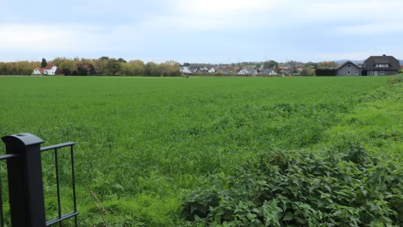 Zwischen Felix-Fechenbach- und Herforder Stra&szlig;e soll das Quartier Lebendiges Brunsheide entstehen. Foto: B. Guhlke - &copy; Birgit Guhlke