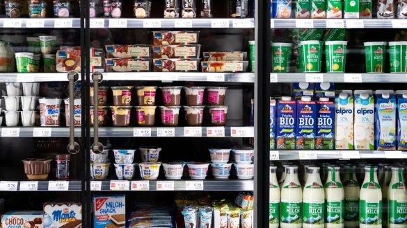 Milchprodukte - &copy; Foto: Sven Hoppe/dpa
