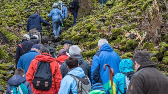 Wandergruppe - &copy; Foto: Arifoto Ug/Michael Reichel