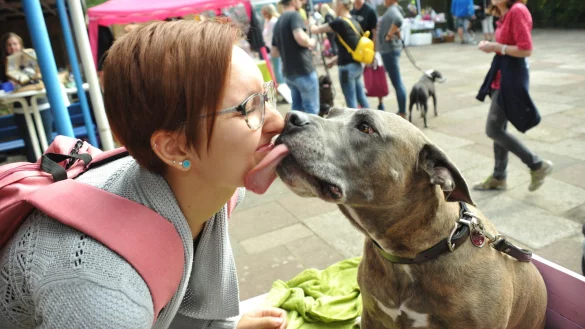 Maike Trick nimmt K&uuml;sschen von dem 6-j&auml;hrigen American Staffordshire R&uuml;den Taylor entgegen (Das war seine Aufgabe bei dem Fest. Gegen eine kleine Spende) - &copy; Nicole Ellerbrake