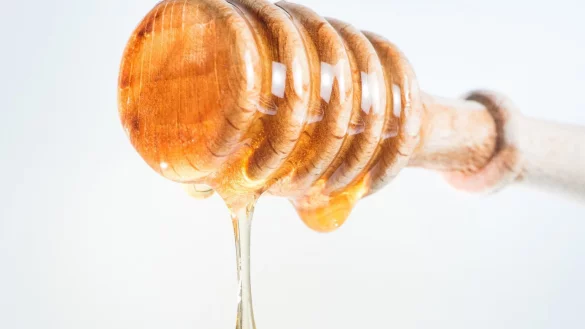 Flüssiger honig - © Foto: Franziska Gabbert