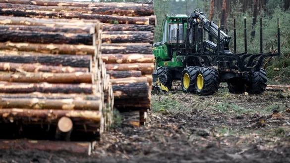 Tesla-Gel&auml;nde - &copy; Foto: Britta Pedersen/dpa-Zentralbild/dpa