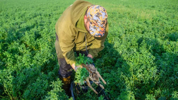 - &copy; Klaus-Dietmar Gabbert/dpa