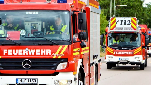 Dank der Feuerwehr-Drehleiter aus Vlotho sichert die Feuerwehr einen in Schieflage geratenen Telefonmast in Kalldorf. - &copy; Pixabay/Symbolbild