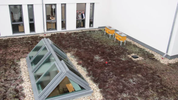 Beigeordneter Thorsten Paulussen, Andreas Postert vom Imkerverein Lage und Margarete Wi&szlig;mann von der st&auml;dtischen Stabsstelle Umwelt pr&auml;sentieren die ersten Bienenk&auml;sten, Beuten genannt. - &copy; Cordula Gr&ouml;ne