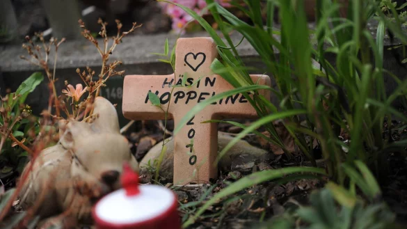 Grab eines Haustiers - &copy; Foto: Emily Wabitsch/dpa-tmn