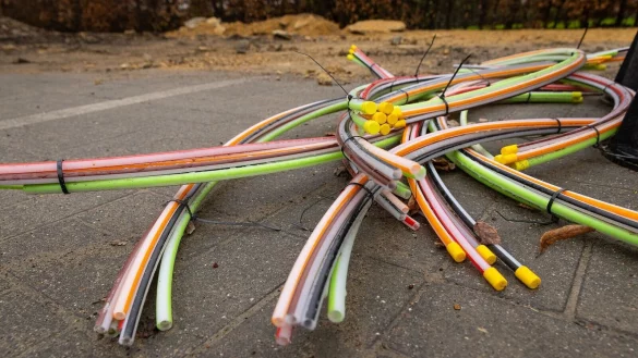 - &copy; James Arthur Gekiere/BELGA/dpa