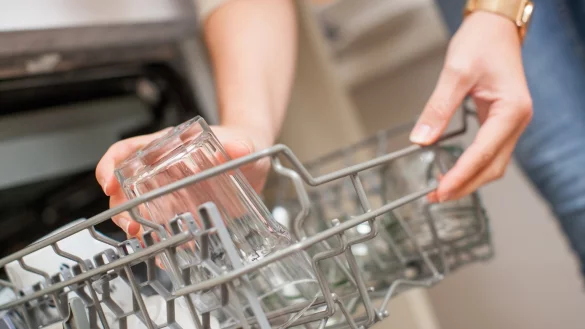 Sp&uuml;lmaschinen-Tabs - &copy; Foto: Christin Klose