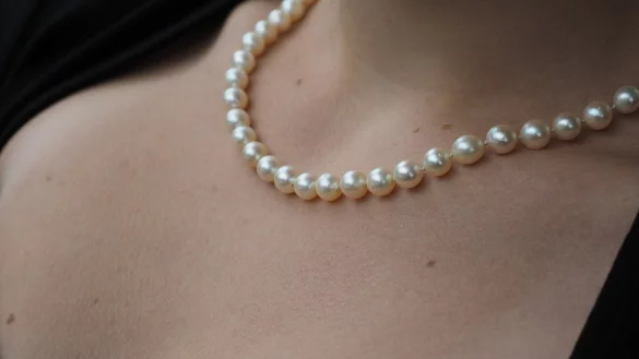 Ein betrunkener Ladendieb scheiterte am Halsschmuck einer Kundin in Detmold. - &copy; Symbolbild: Pixabay