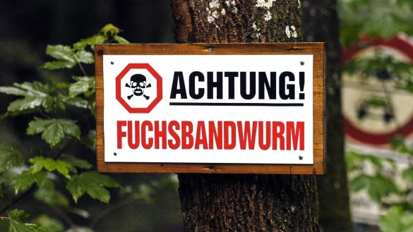 Warnung vor Fuchsbandwurm - &copy; Foto: Frank M&auml;chler