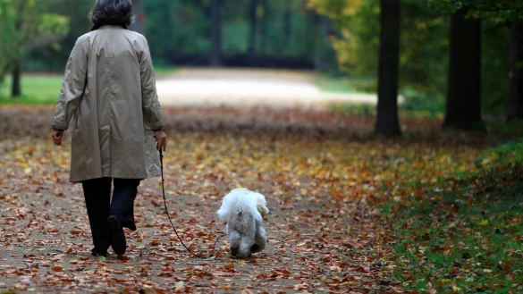 Vierbeinige Begleiter - &copy; Foto: Ole Spata/dpa