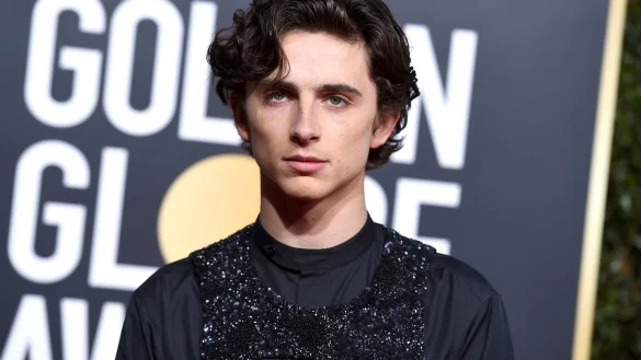Timoth&eacute;e Chalamet - &copy; Foto: Jordan Strauss/Invision/AP/dpa