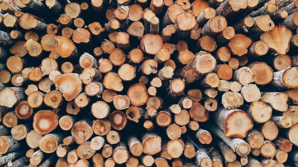 Schon im Sommer 2022 stieg die Nachfrage nach Brennholz massiv an. Nun ist es schwer, noch welches zu bekommen. - &copy; Pixabay