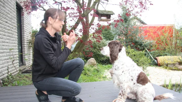 Nina Kerkhof bittet ihren Hund Sunny, ein Springer-Spaniel, ihr das K&ouml;rbchen zu apportieren. - &copy; Cordula Gr&ouml;ne