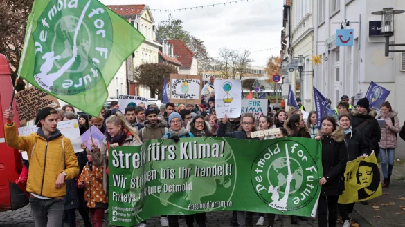 Eine gro&szlig;e &bdquo;Fridays for Future&ldquo;-Demo gab es bereits 2019. Rund 2000 Menschen gehen in Detmold auf die Stra&szlig;e und skandieren Parolen f&uuml;r mehr Klimaschutz. ?Archivfoto: Bernhard Preuss - &copy; Archivfoto: Bernhard Preu&szlig;