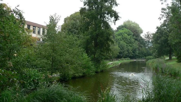 - © musikschule-lemgo.de